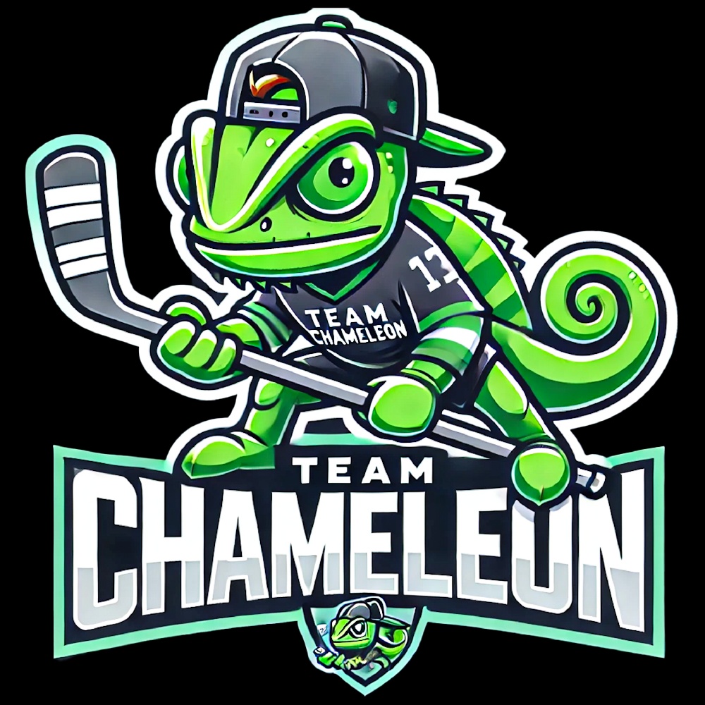 카멜레온즈 서포터즈