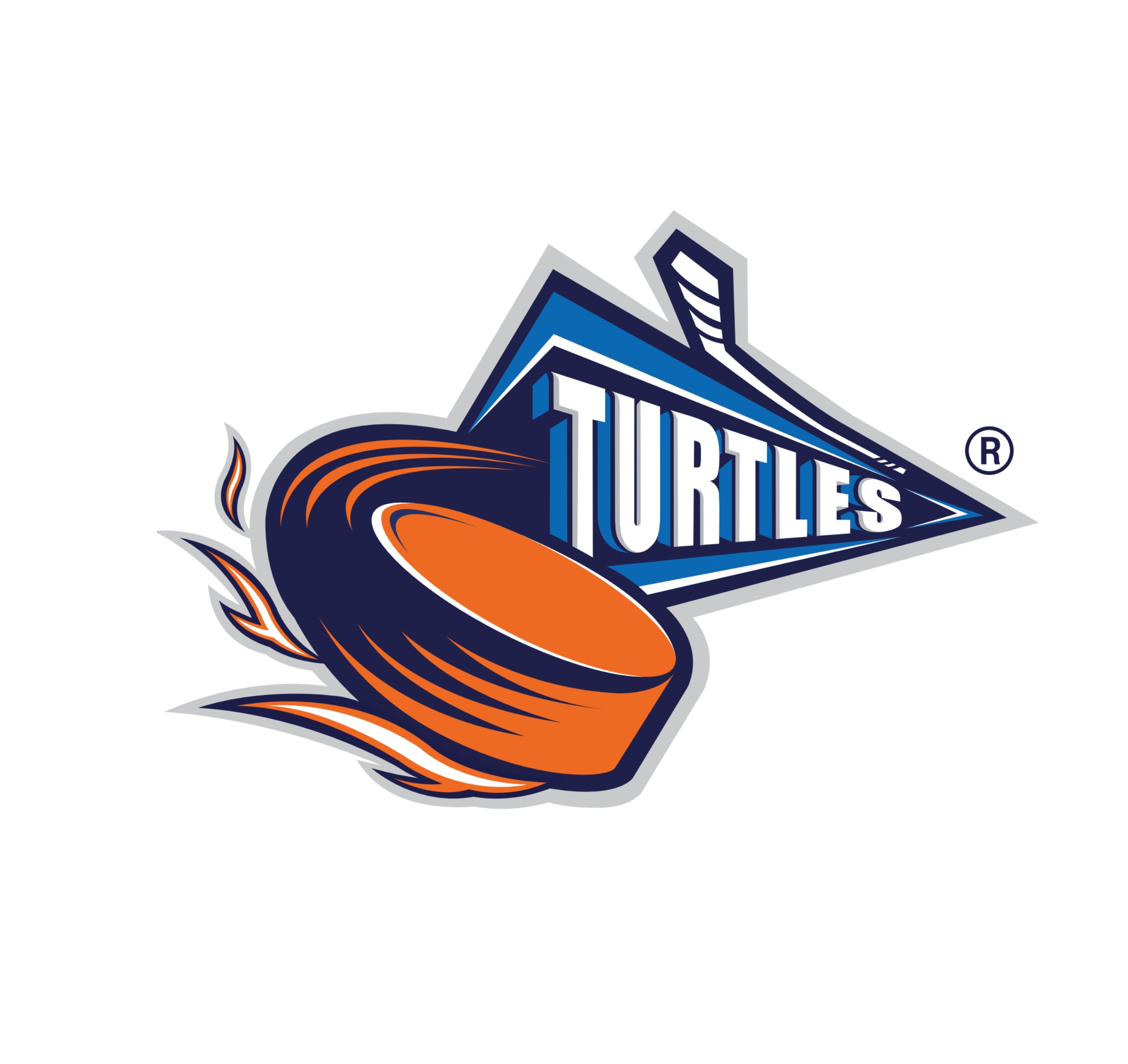 터틀스(천안/아산 성인팀)